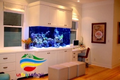 آکواریوم آشپزخانه (6)