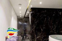 برکه-برج-های-دوقلوی-کیش-6