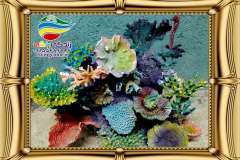 دکور-صخره-ای-آکواریوم-آب-شیرین-و-آب-شور-13