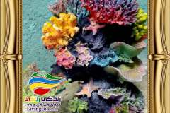 دکور-صخره-ای-آکواریوم-آب-شیرین-و-آب-شور-15