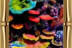 دکور-صخره-ای-آکواریوم-آب-شیرین-و-آب-شور-5