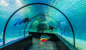 آکواریوم اصفهان