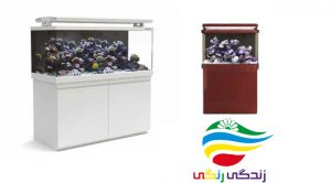 آکواریوم شرکتی