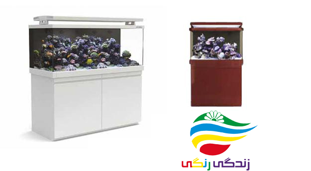 آکواریوم شرکتی