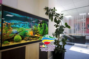 آکواریوم داروی استرس