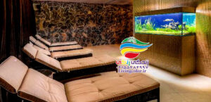 آکواریوم و آرامش