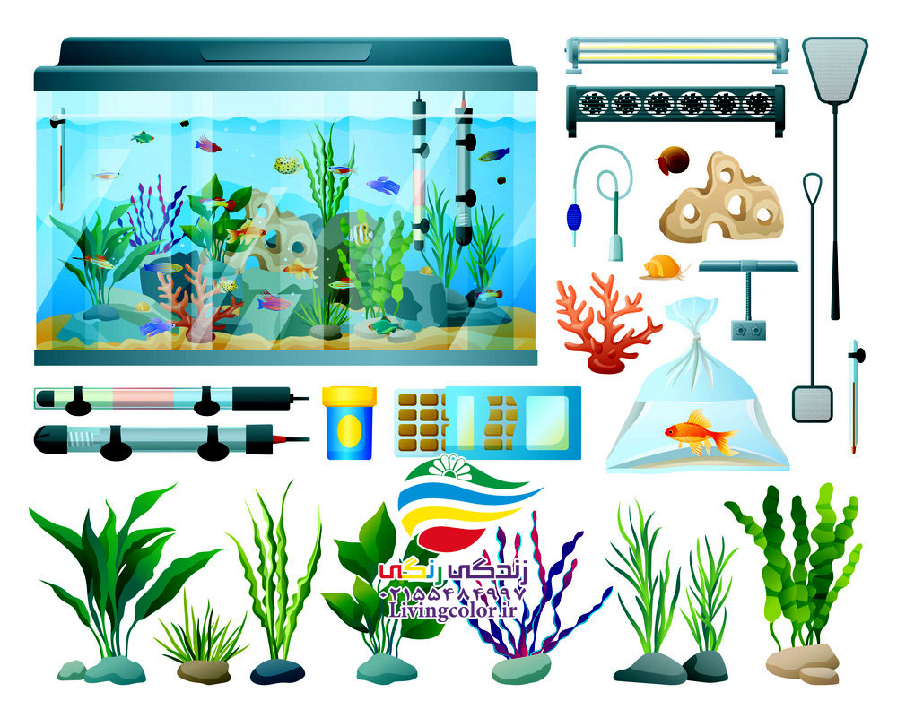 اصلی ترین تجهیزات آکواریوم