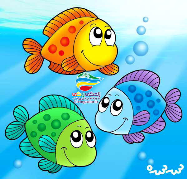 معرفی ماهیان رنگین کمان
