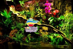 پالوداریوم اکوسیستم مینیاتوری