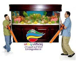 جا به جا کردن آکواریوم
