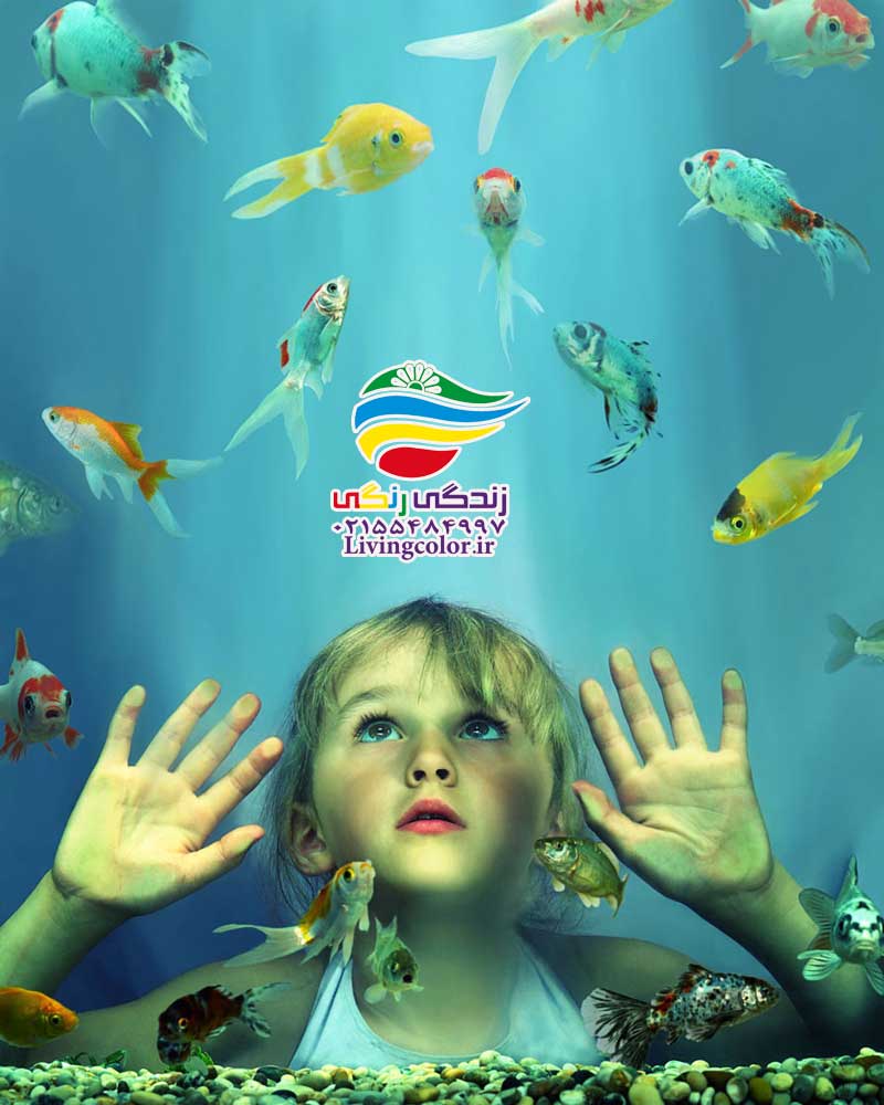 تاثیرات درمانی آکواریوم