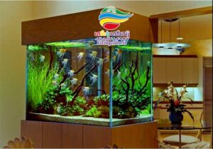 جذب ثروت با آکواریوم