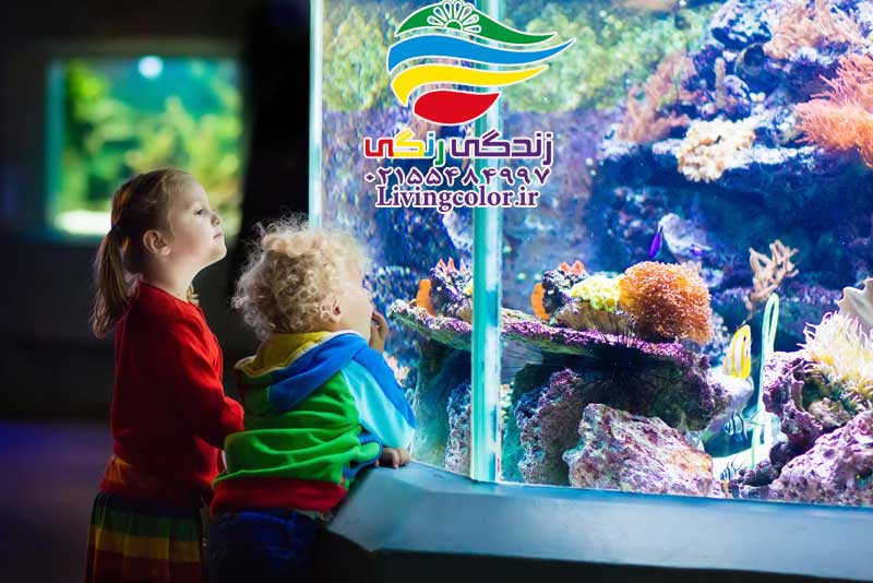 تأثیر آکواریوم بر کودکان