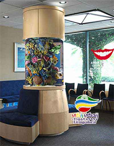 تاثیرات درمانی آکواریوم