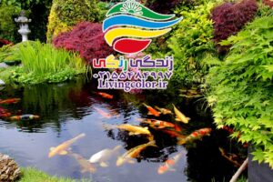 ساخت برکه کوچک ماهی