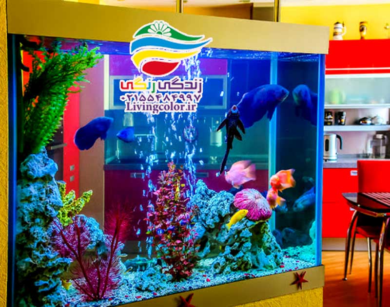 طراحی هوشمندانه آکواریوم