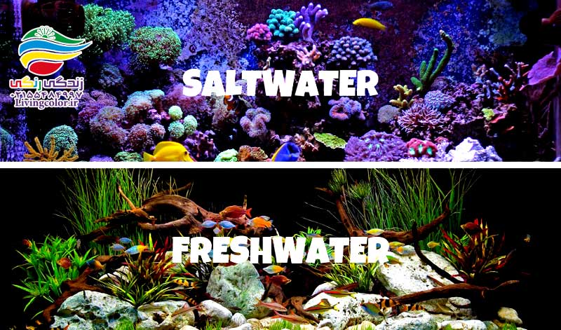 آکواریوم شیرین و شور