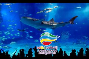 مزایای آکواریوم در محیط شهری