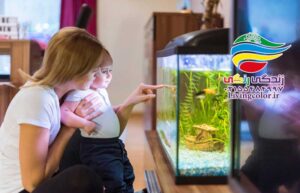 ماهی بهترین حیوان خانگی