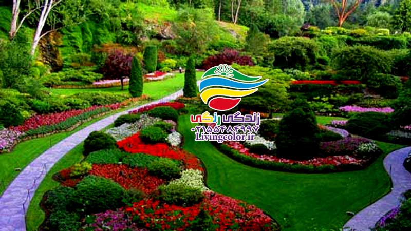 لنداسکیپ و انرژی