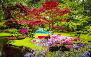 طراحی باغ ژاپنی