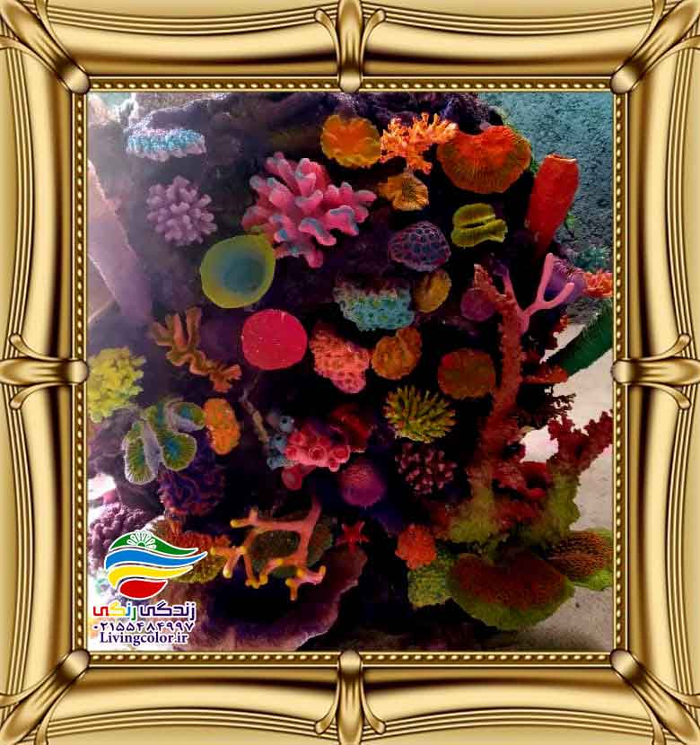 دکور صخره ای آکواریوم آب شیرین و آب شور