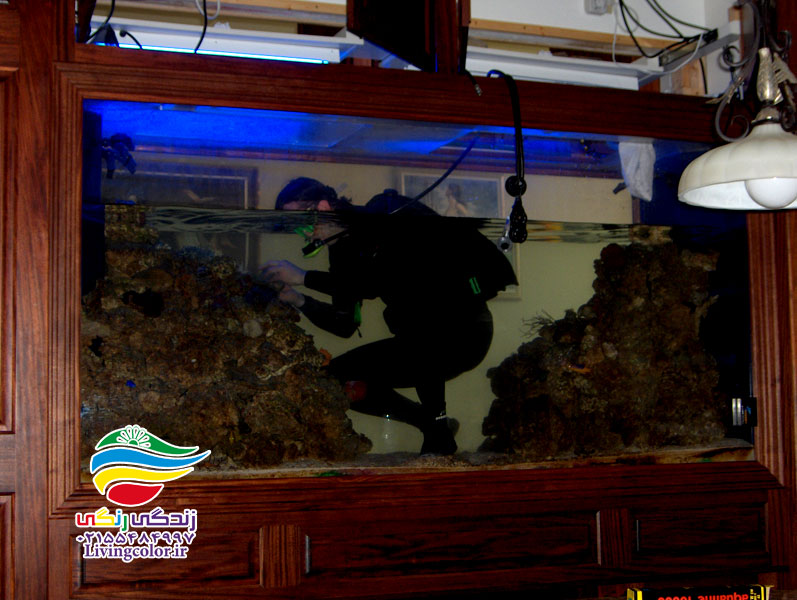 سرویس آکواریوم سرویس آکواریوم