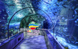 آکواریوم انزلی