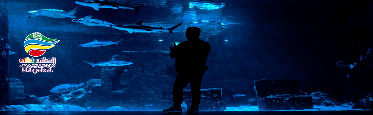 آکواریوم انزلی